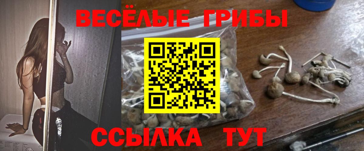 Псилоцибиновые грибы GOLDEN TEACHER  Вход с VPN  Можайск  Галлюциногенные грибы Psilocybe 